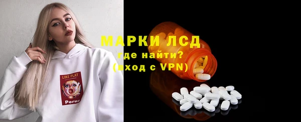 гашик Вязьма
