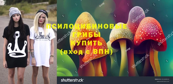 таблы Вяземский