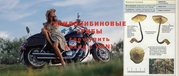 таблы Вяземский