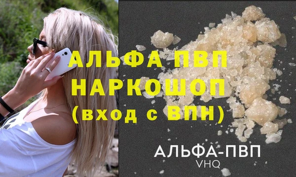гашик Вязьма
