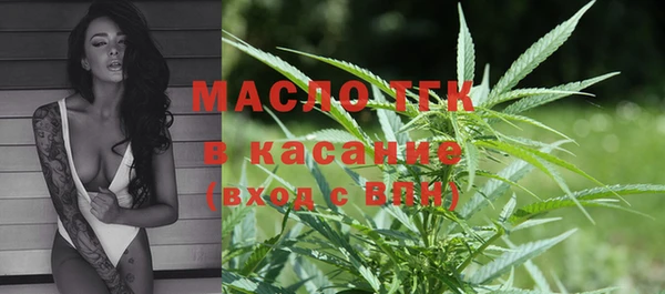 гашик Вязьма