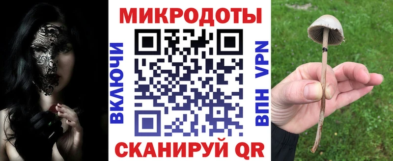Купить закладки  Комсомольск  Псилоцибиновые грибы Psilocybine cubensis 